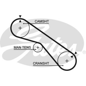 Cam / Timing Belt