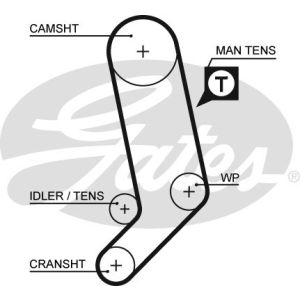 Cam / Timing Belt