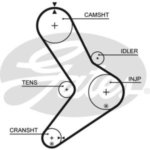 Cam / Timing Belt