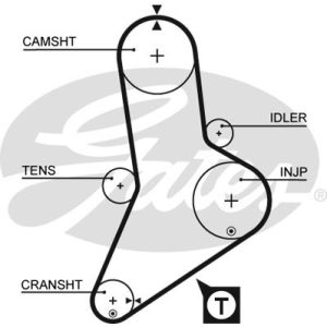 Cam / Timing Belt