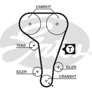 Cam / Timing Belt