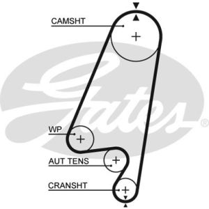 Cam / Timing Belt