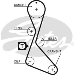 Cam / Timing Belt