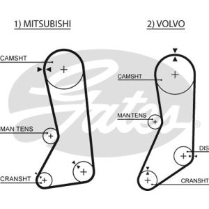 Cam / Timing Belt