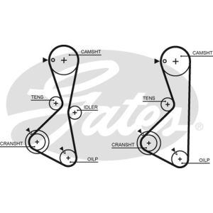 Cam / Timing Belt