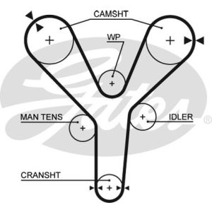 Cam / Timing Belt