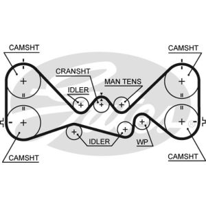 Cam / Timing Belt