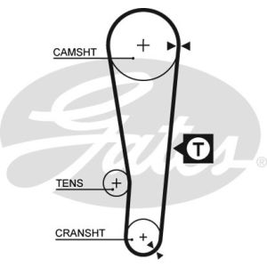 Cam / Timing Belt