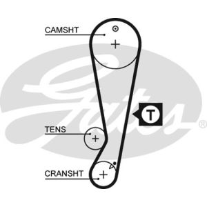 Cam / Timing Belt