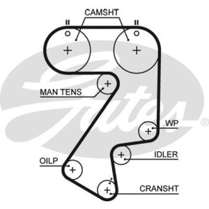 Cam / Timing Belt