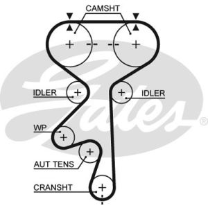 Cam / Timing Belt