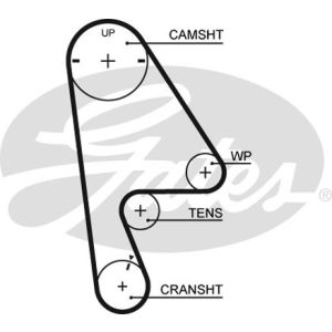 Cam / Timing Belt