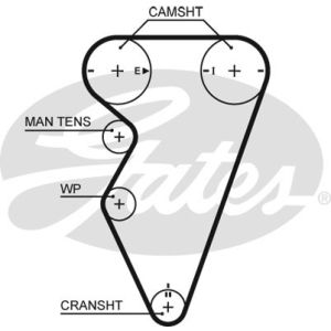 Cam / Timing Belt