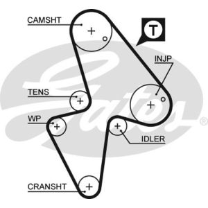 Cam / Timing Belt