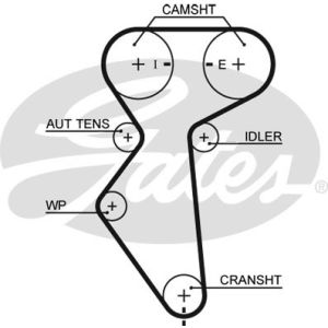 Cam / Timing Belt