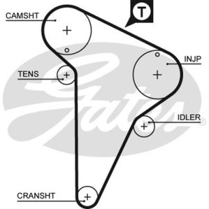 Cam / Timing Belt