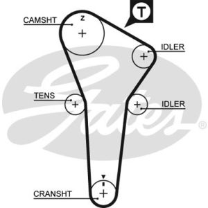 Cam / Timing Belt