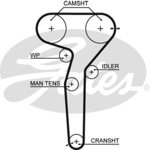 Cam / Timing Belt