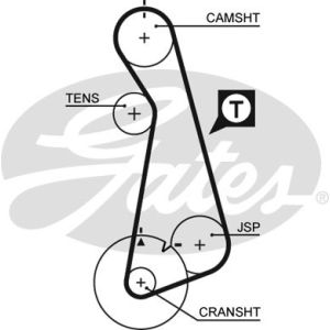 Cam / Timing Belt