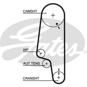 Cam / Timing Belt