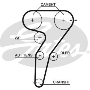 Cam / Timing Belt