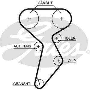 Cam / Timing Belt