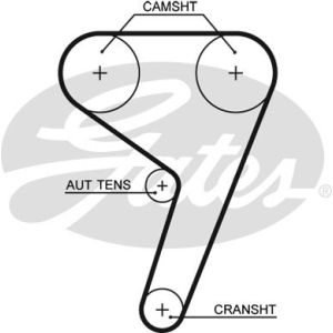 Cam / Timing Belt