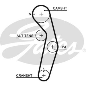 Cam / Timing Belt