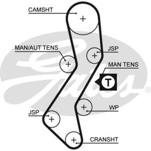 Cam / Timing Belt