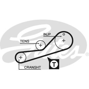 Cam / Timing Belt