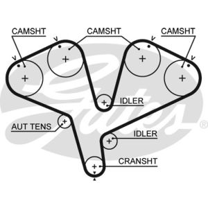 Cam / Timing Belt