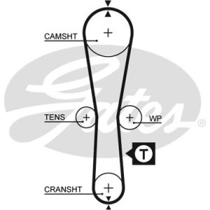 Cam / Timing Belt