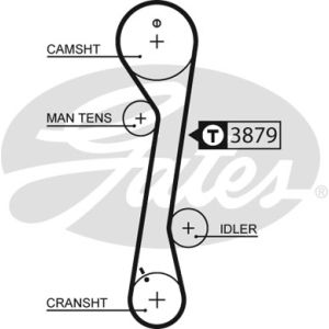 Cam / Timing Belt