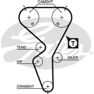 Cam / Timing Belt