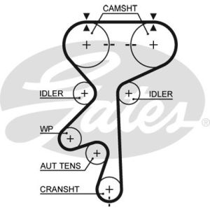 Cam / Timing Belt