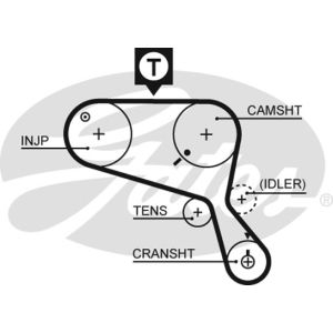 Cam / Timing Belt