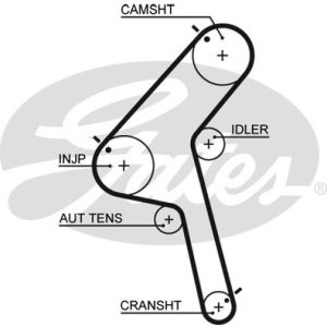 Cam / Timing Belt