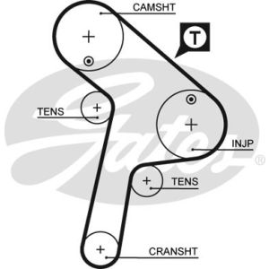 Cam / Timing Belt