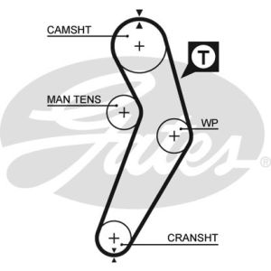 Cam / Timing Belt