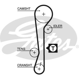 Cam / Timing Belt