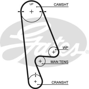 Cam / Timing Belt