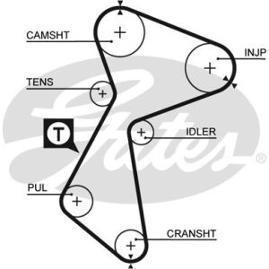 Cam / Timing Belt