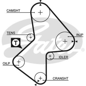 Cam / Timing Belt