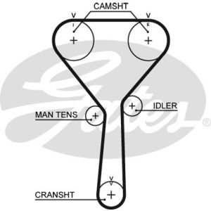 Cam / Timing Belt