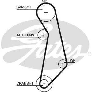 Cam / Timing Belt