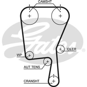 Cam / Timing Belt