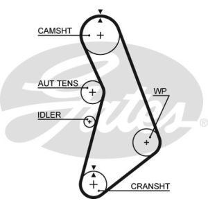 Cam / Timing Belt