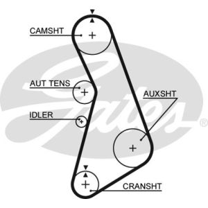 Cam / Timing Belt