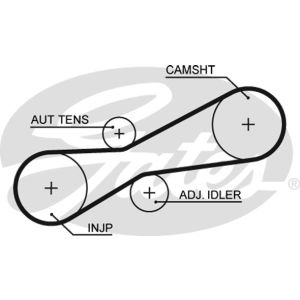 Cam / Timing Belt