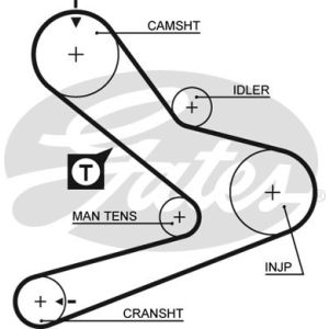 Cam / Timing Belt